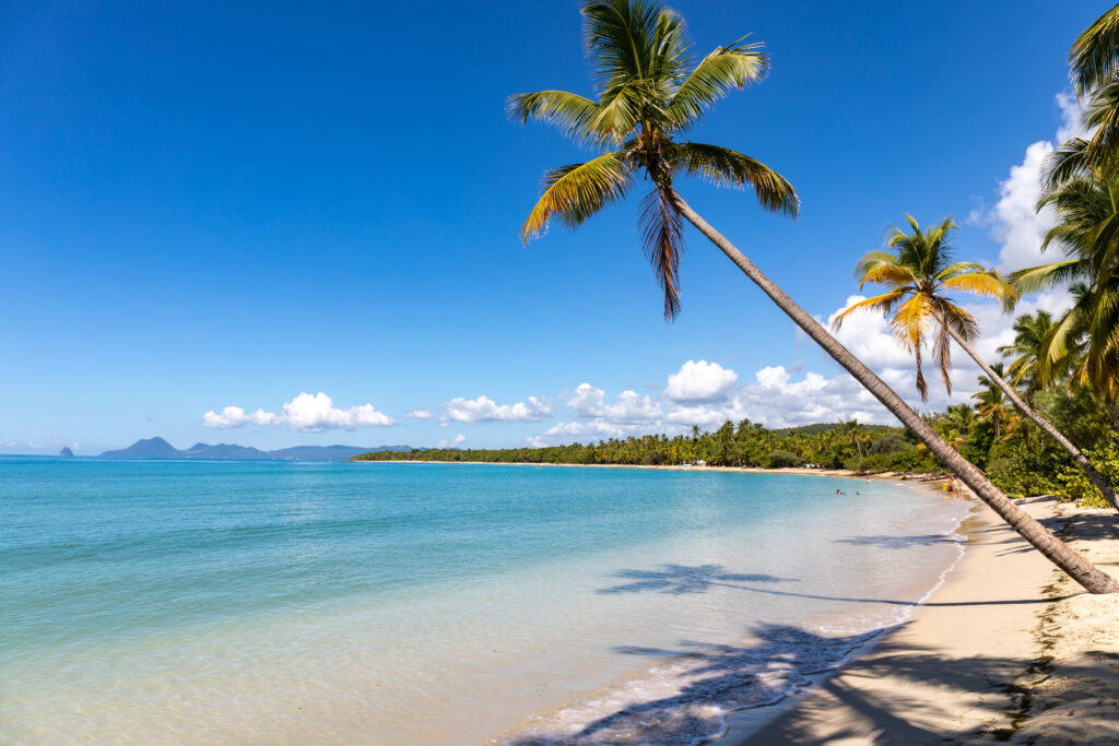 Plage de Sainte-Anne en Martinique