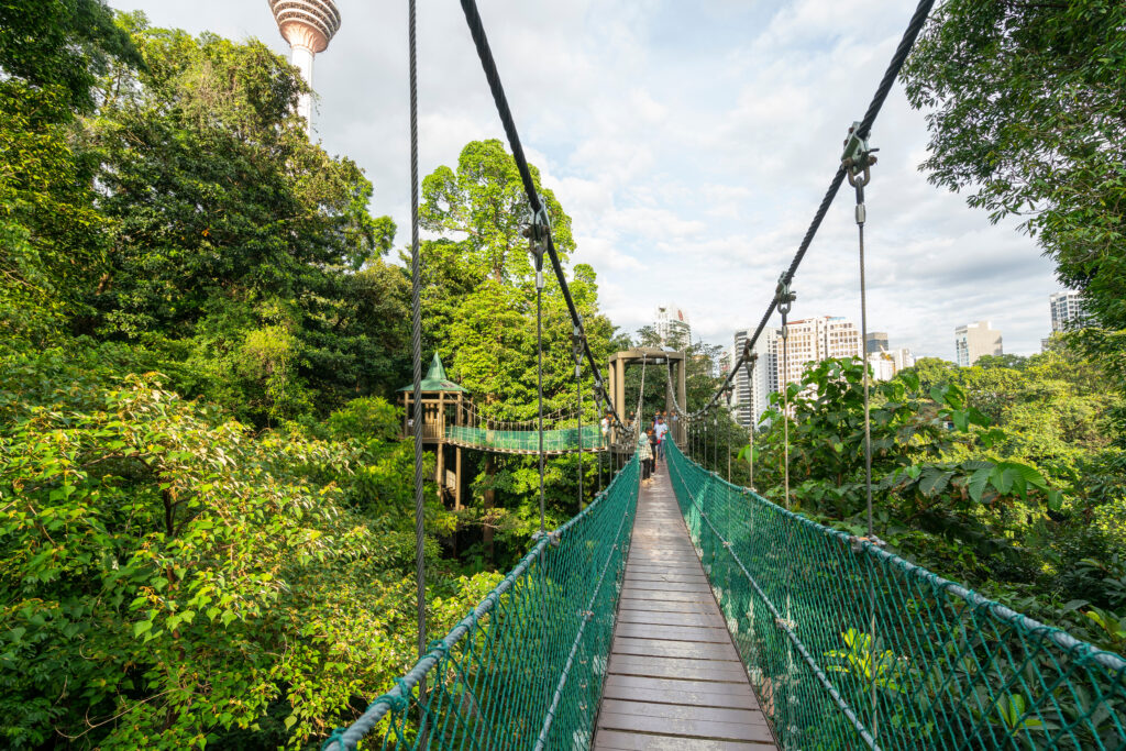 Bukit Nanas, une réserve forestière hors du commun