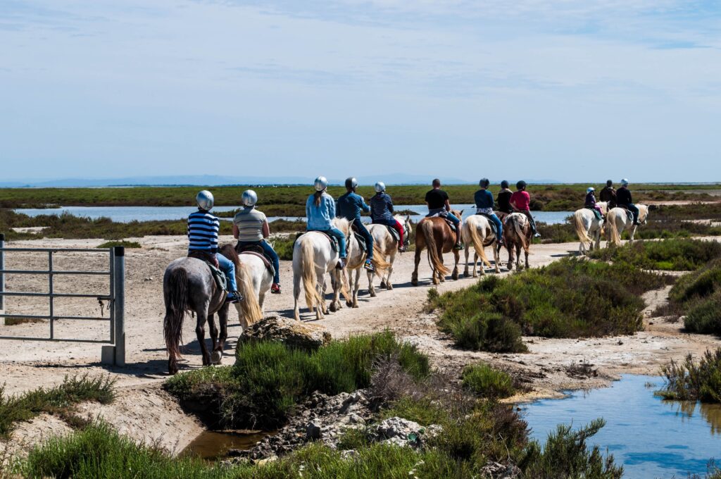 Une promenade à cheval sur la plage en Camargue