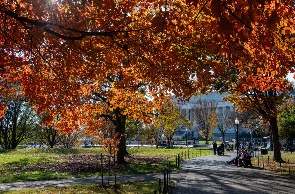 Constitution Gardens,