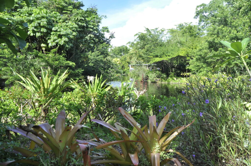Garden of the Groves, Bahama