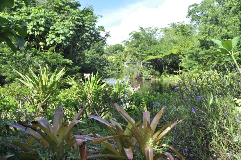 Garden of the Groves, Bahama