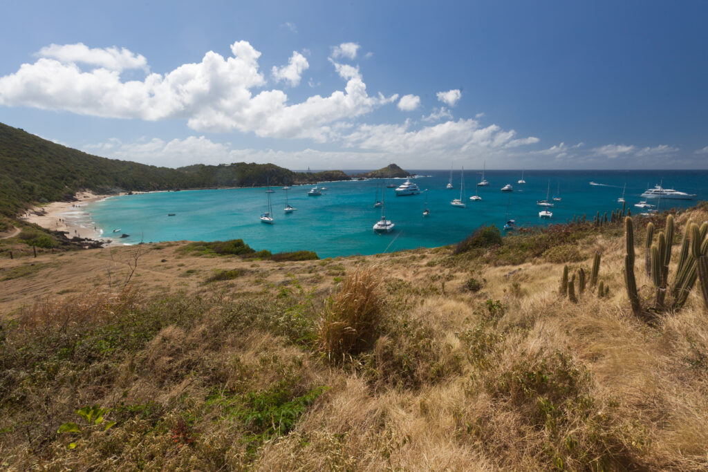 Anse à Colombier à Saint Barthélémy