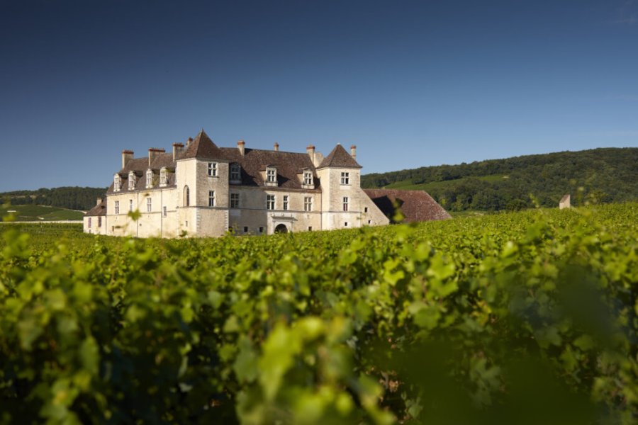 Vivez un moment d’exception à la Table de Léonce au Château du Clos de Vougeot !