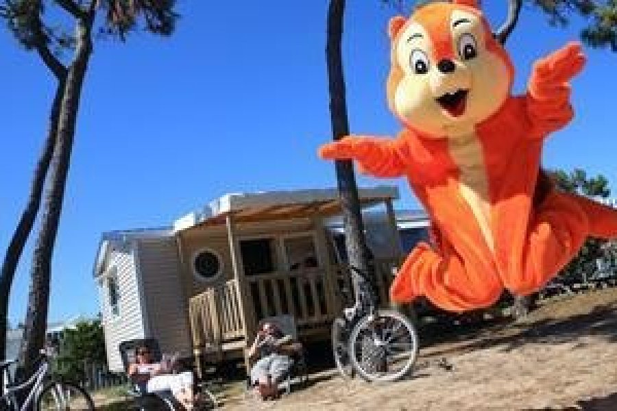 Les joies du camping en Vendée en juin !