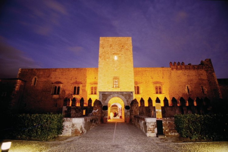 Le Palais des Rois de Majorque - Perpignan - © VINCENT FORMICA