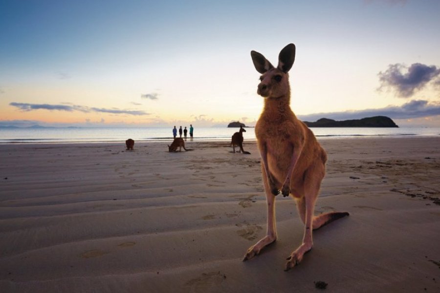 发现澳大利亚昆士兰的10个好理由