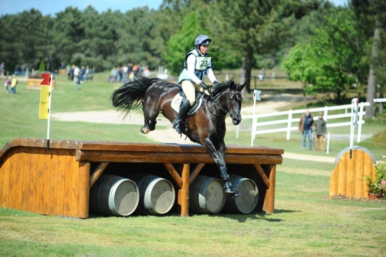 - © Comité Equestre de Saumur