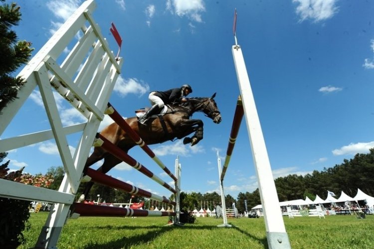 - © Comité Equestre de Saumur