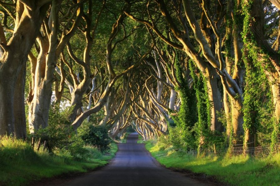 The most beautiful Game of Thrones spots in Northern Ireland