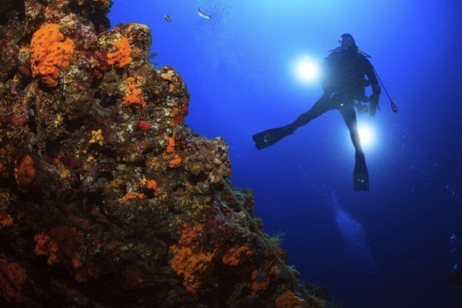 Las 10 inmersiones de buceo más hermosas de Europa