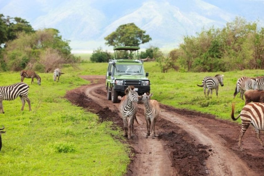 Los 10 mejores safaris del mundo