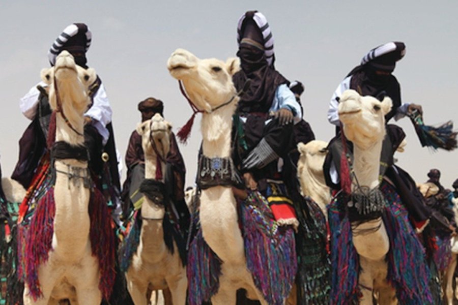Festival de la Jeunesse - Tegadezt (Niger)