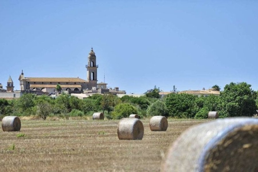 10 good reasons to discover the south of Majorca, an exceptional natural paradise