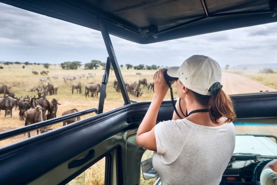 5 good reasons to go on safari in Tanzania