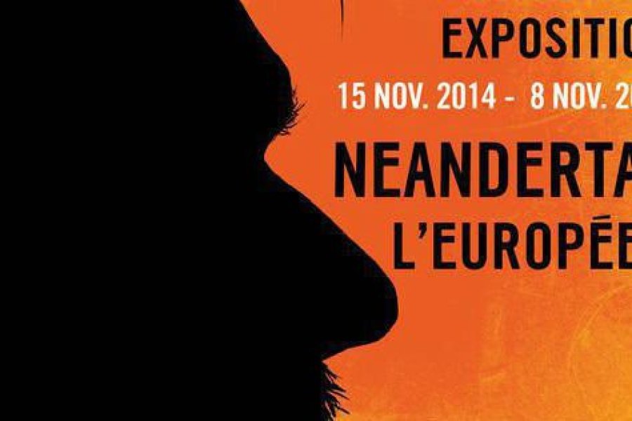 L'exposition Néandertal l'Européen