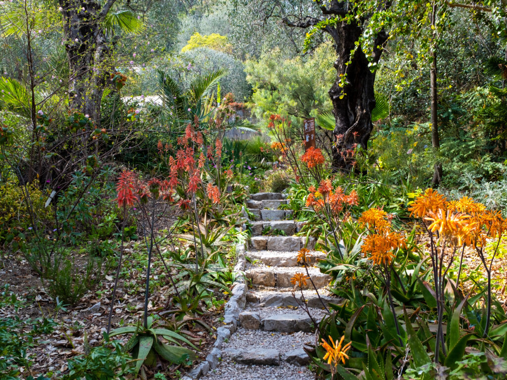 Le jardin botanique Val Rahmeh