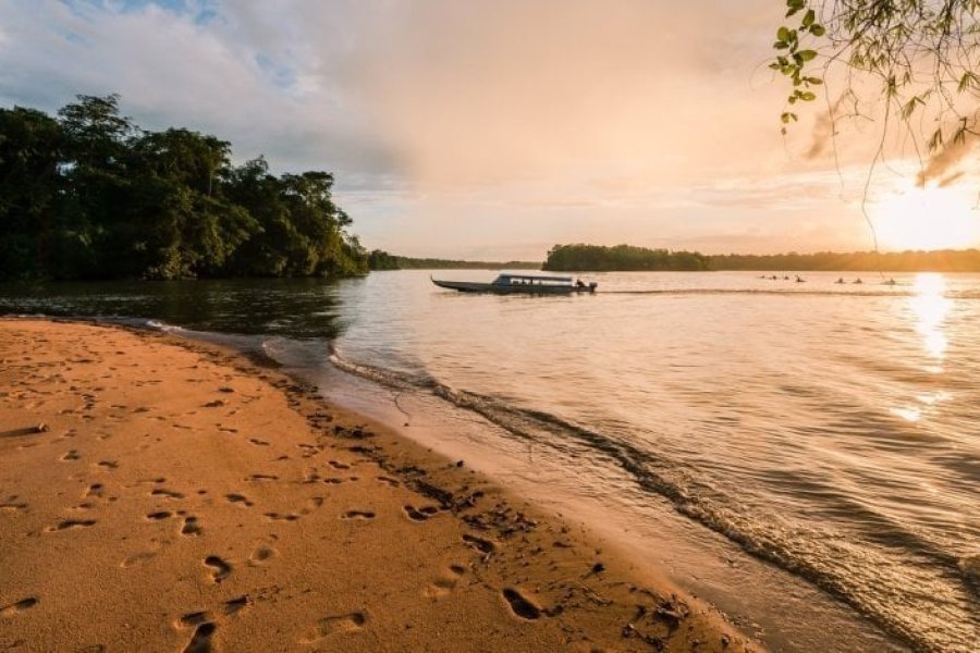 Qué hacer en Guayana Francesa Las 10 visitas obligadas