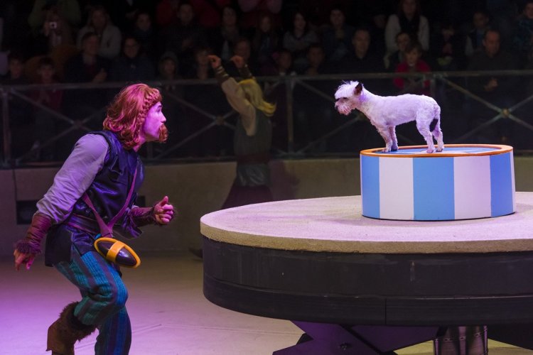 Spectacle dans les Arènes - © Parc Astérix