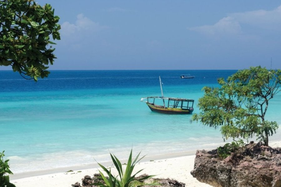 What to see and do in Zanzibar? The 13 must-sees