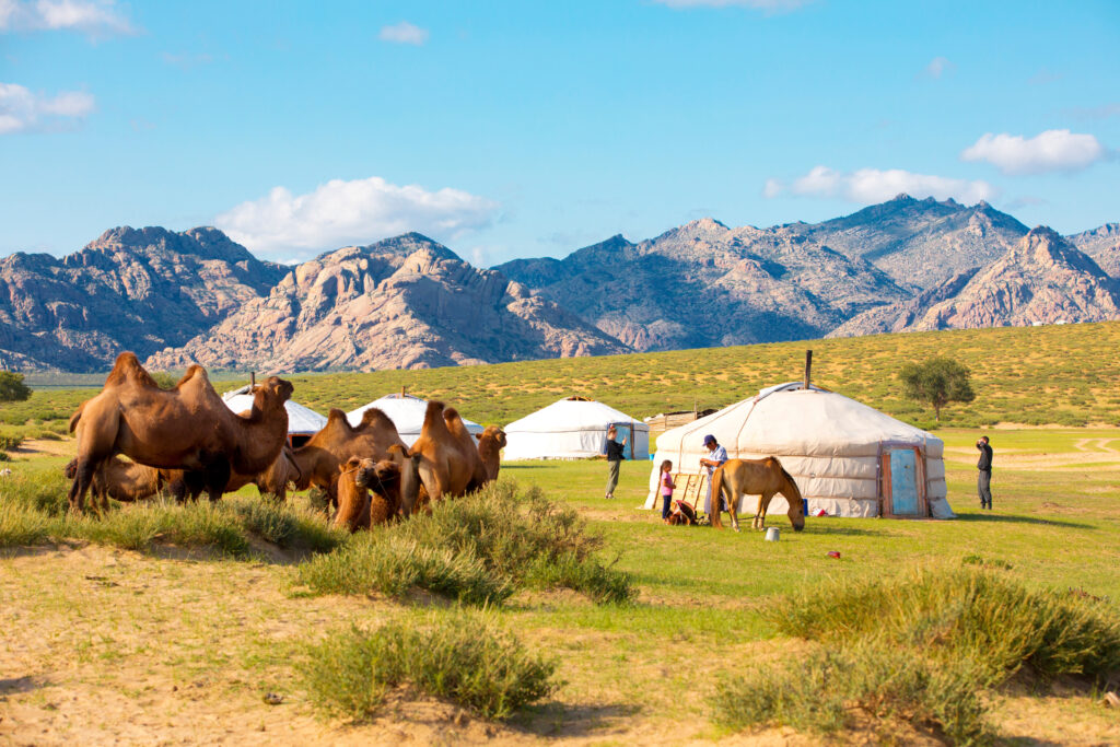 Paysages en Mongolie 