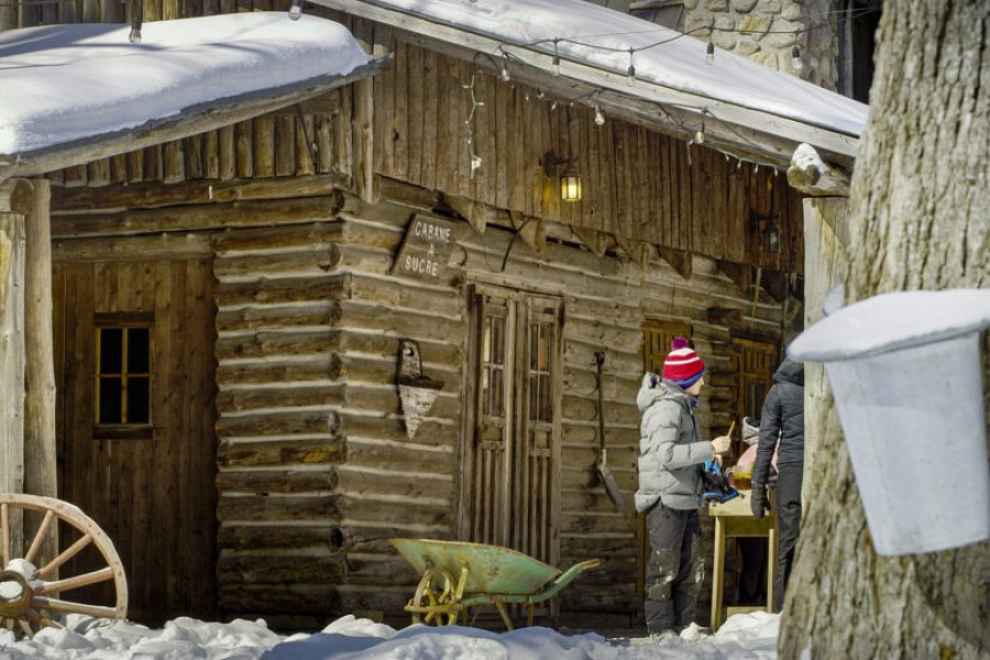 5 raisons de visiter une cabane à sucre lors de votre séjour au Québec !