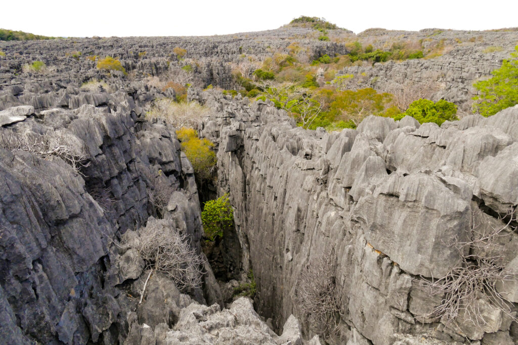 Le labyrinthe de Namoroka