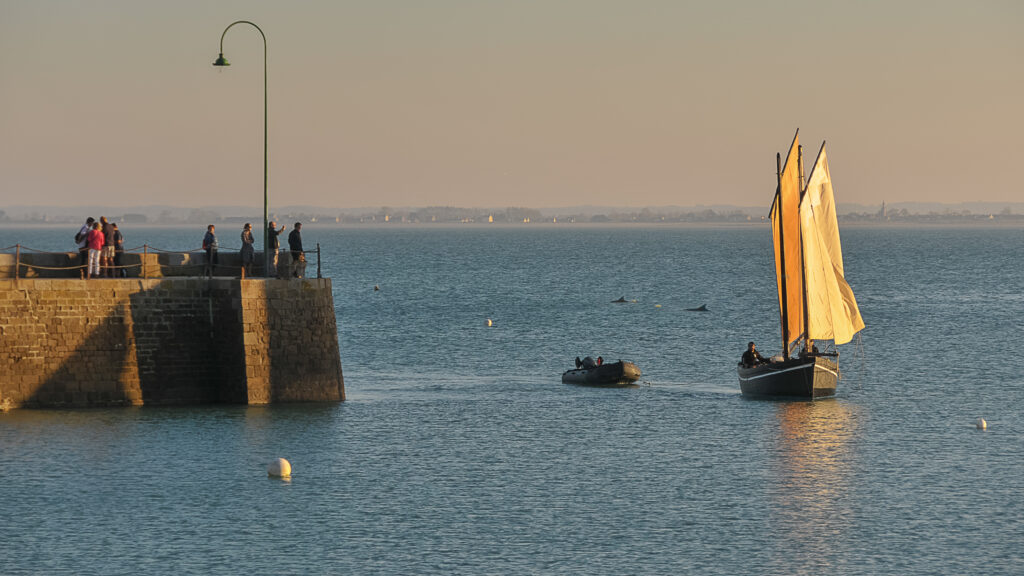 Voilier au port de Cancale 