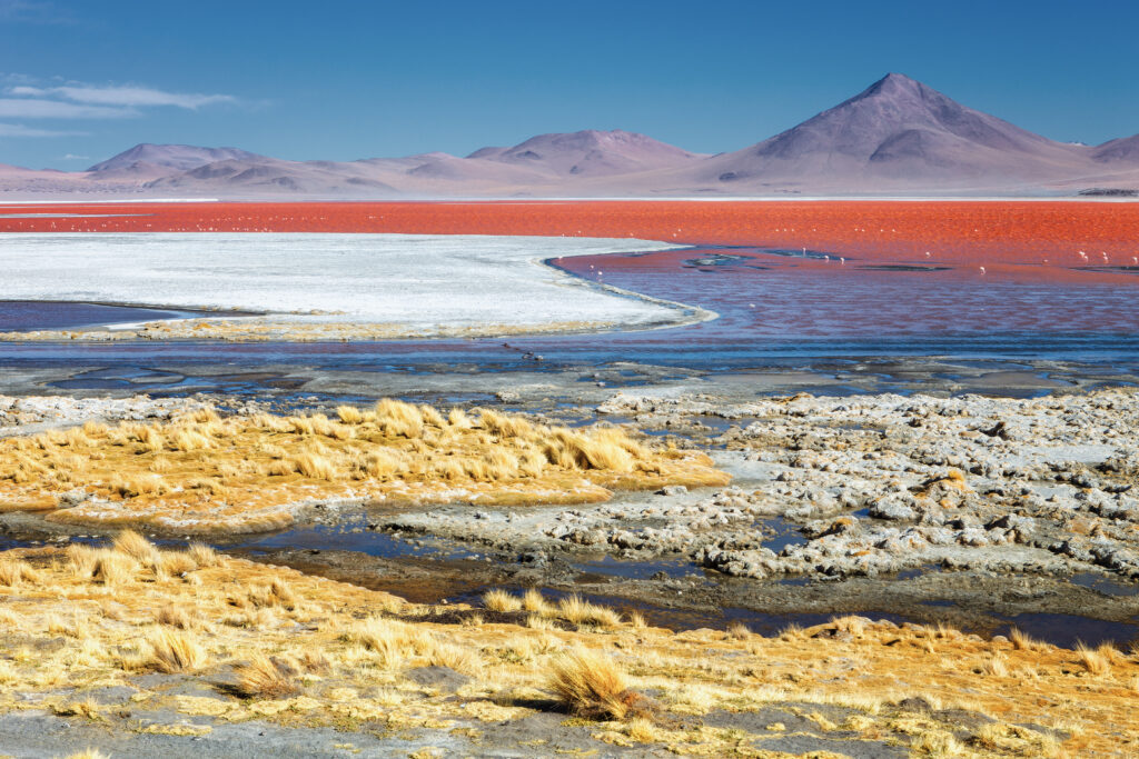 Lac rouge dans la réserve nationale Eduardo Avaroa