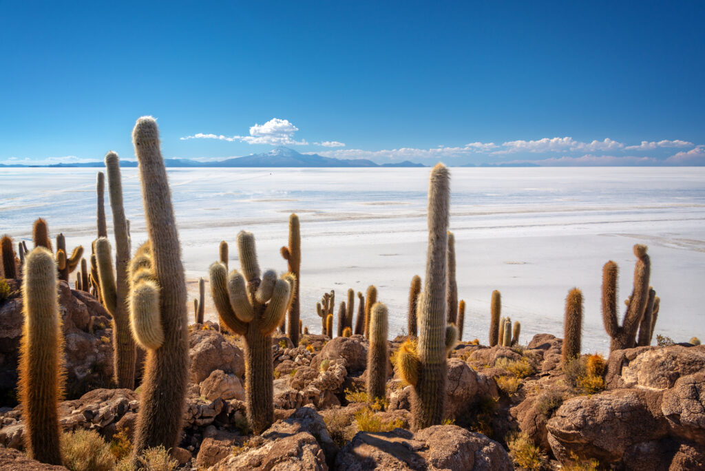 Salar d’Uyuni, le désert de sel bolivien