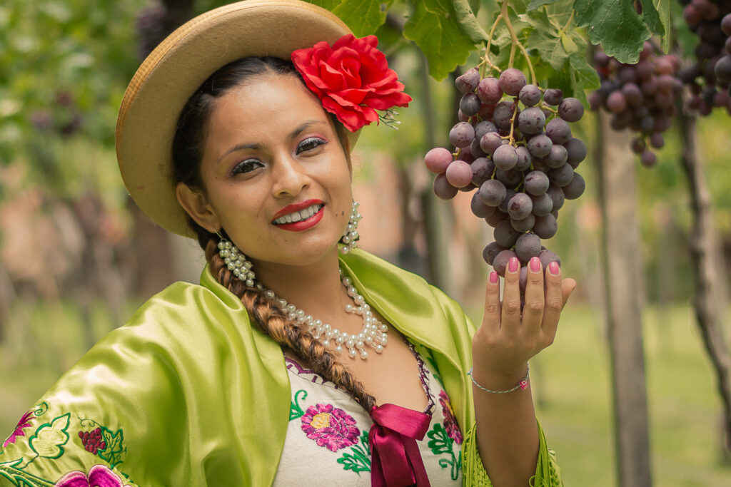 La route des vins de la région de Tarija