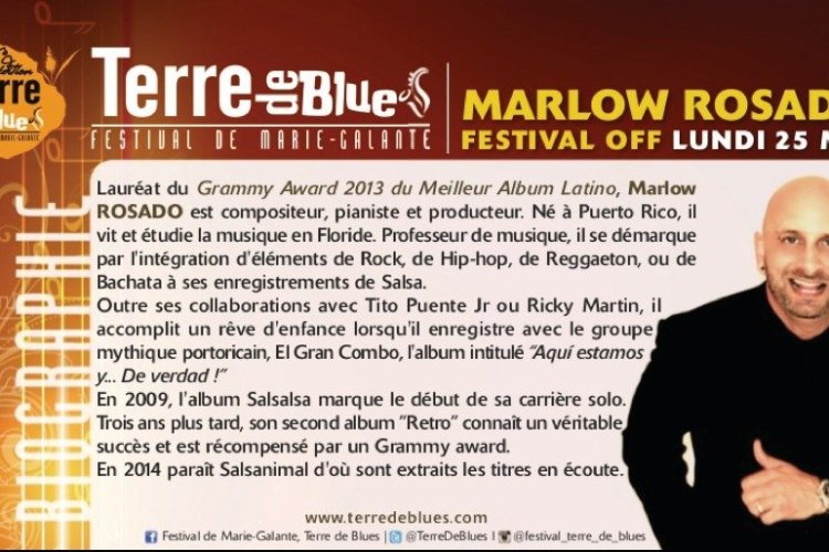 - © Festival Terre de Blues