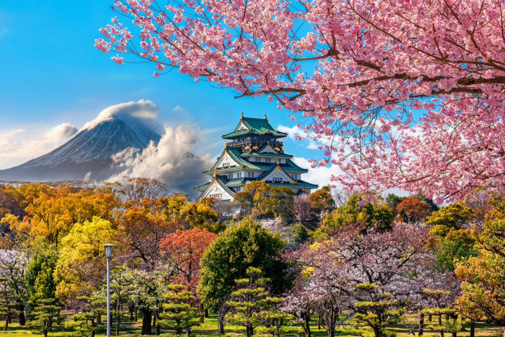 Vue sur le château d'Osaka 