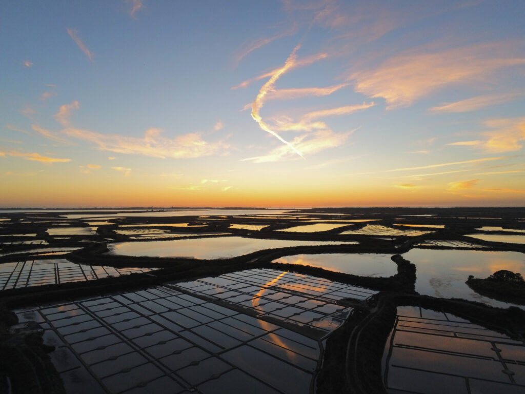 Marais salants de Guérande