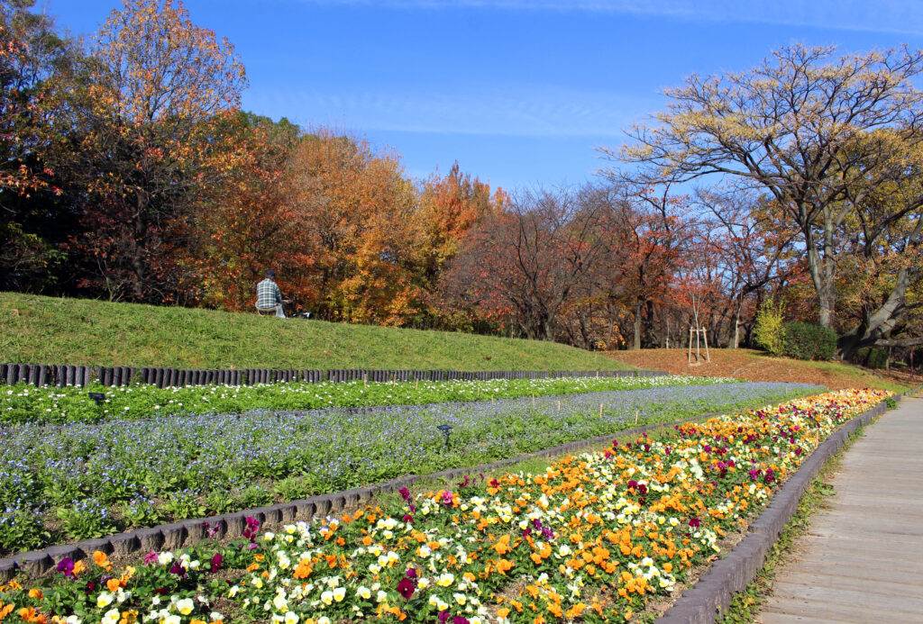 Le Jardin botanique Nagai à Osaka