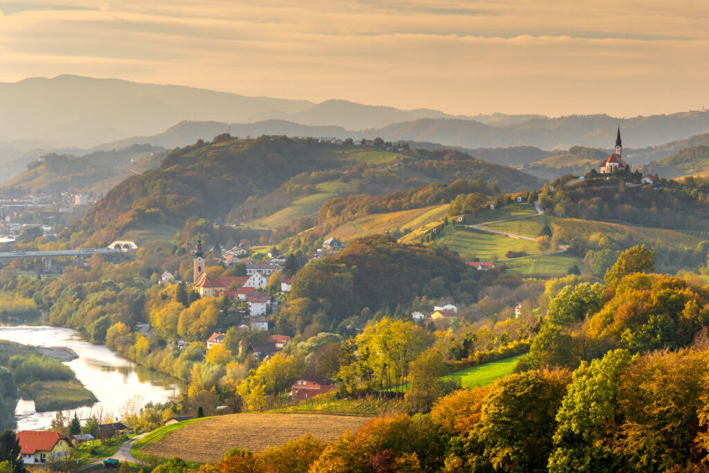 Vue sur Ptuj en Slovénie