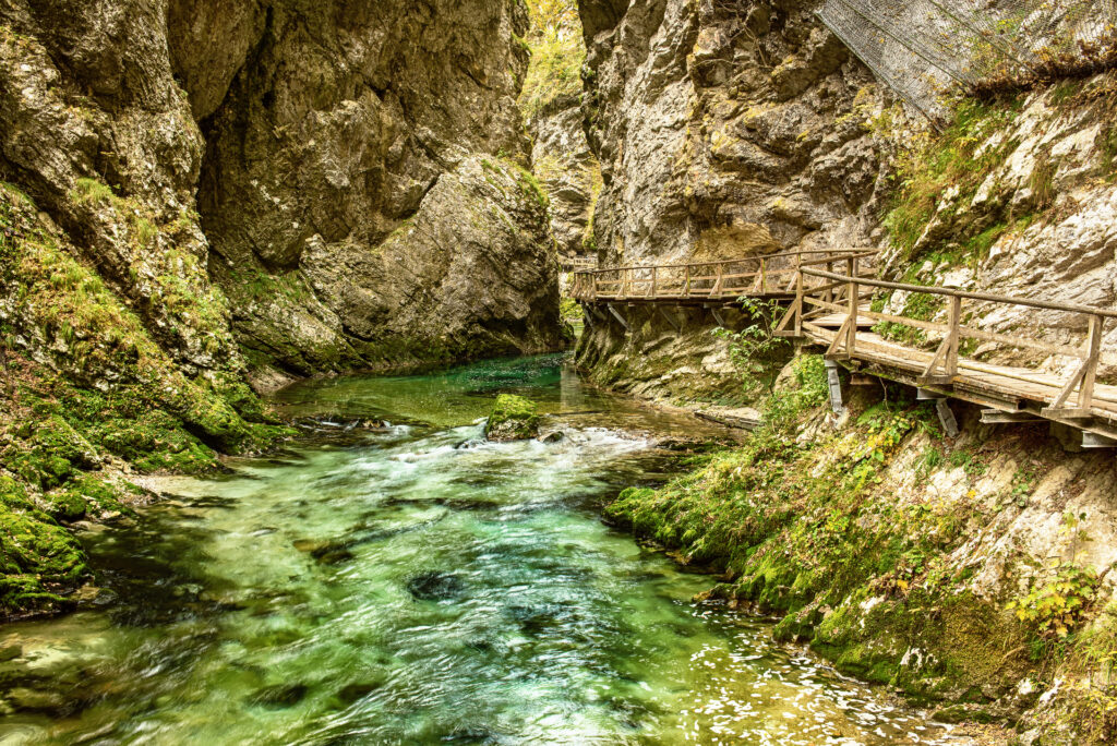 Les gorges de Vintgar