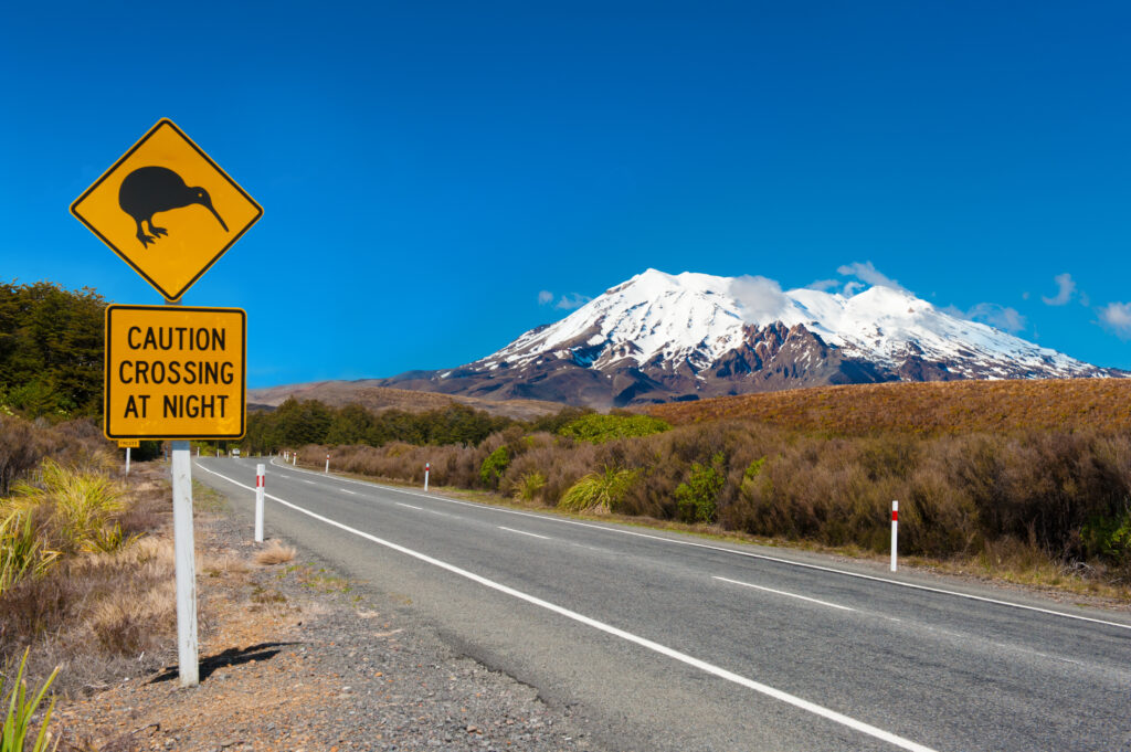 Vue sur le Mont Ruapehu en Nouvelle-Zélande 