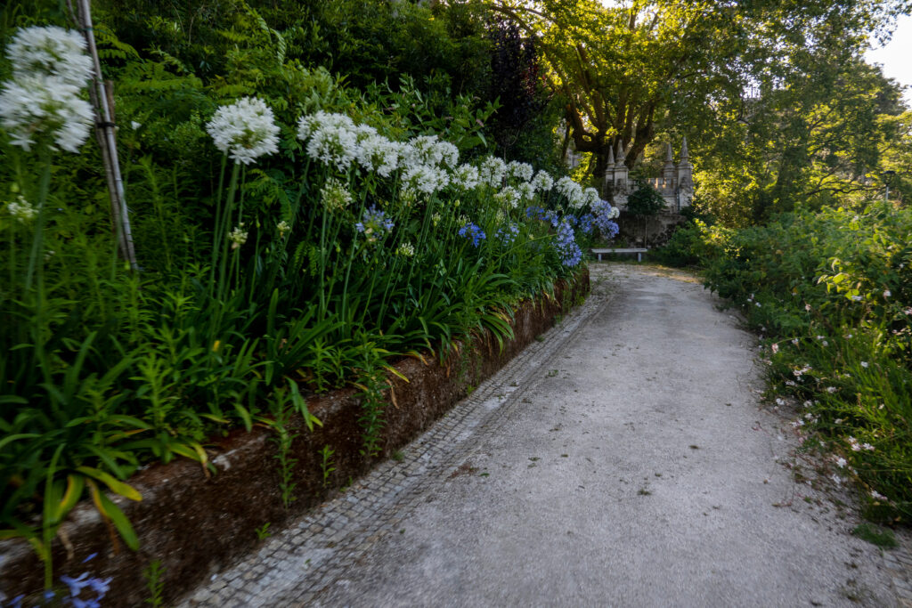 Parc botanique du Palais Biester