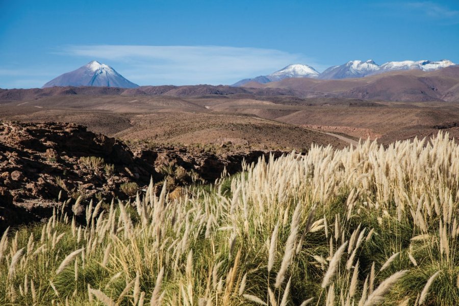 Arica, le Chili entre désert et altiplano