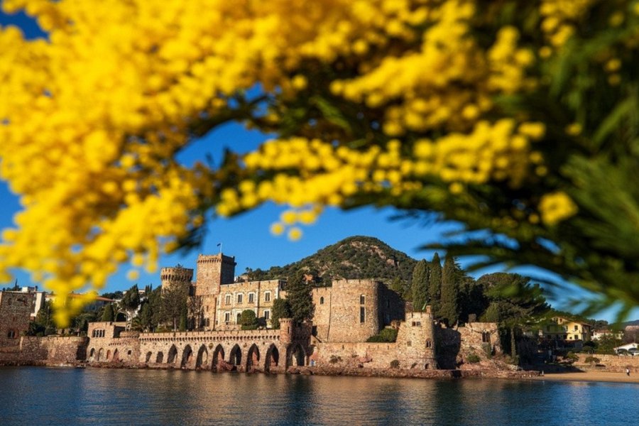 Fête du Mimosa Mandelieu La Napoule