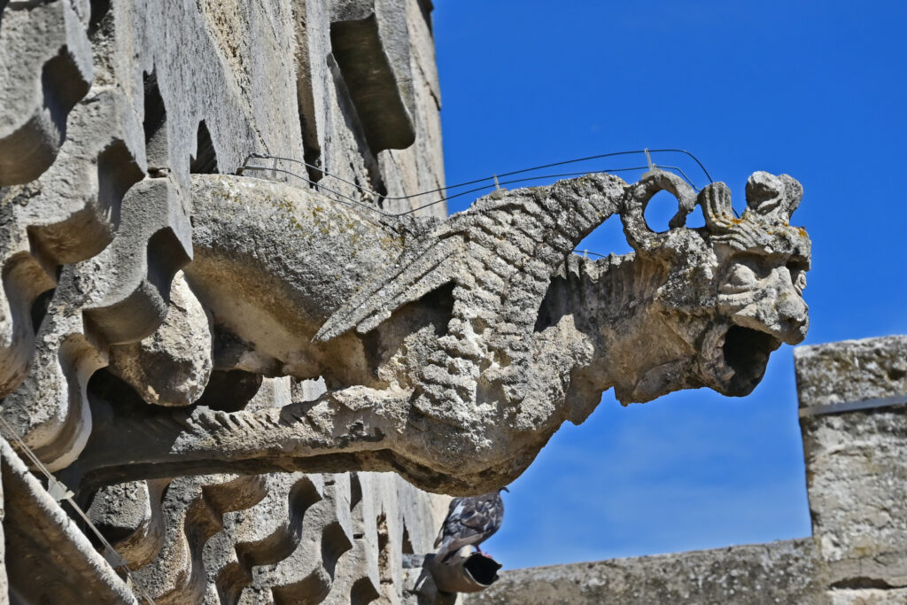 Le Musée Réattu, paradis de l’art