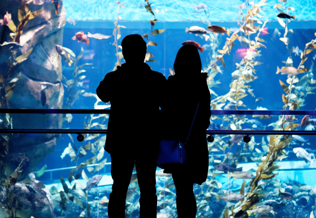  L’aquarium Ripley de Toronto