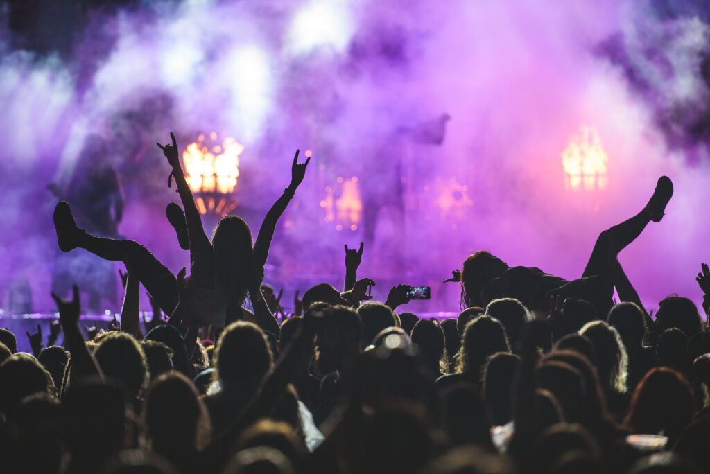 Silhouette of a crowd on a rock concert