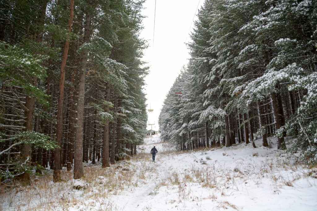 Le parc national de Vitocha en Bulgarie