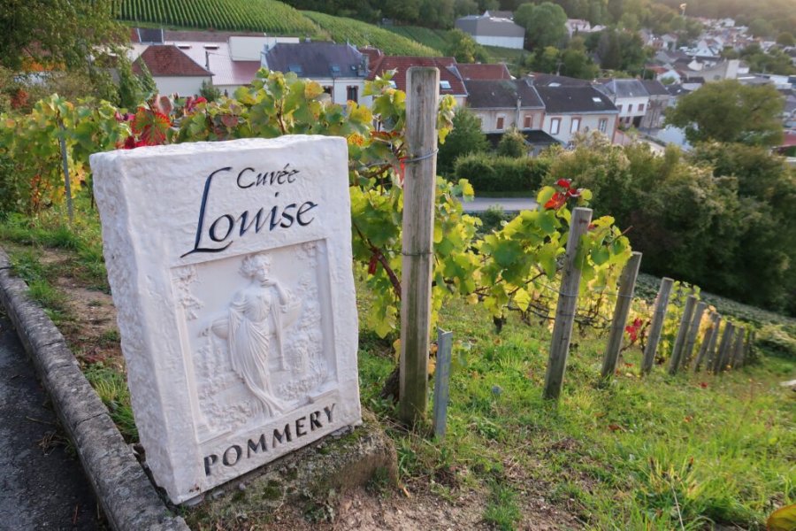 Top 11 der besten Weintourismusziele in Frankreich!