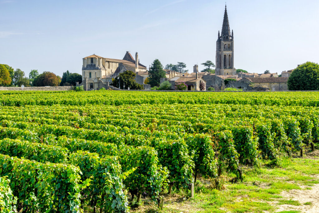 Vignobles de Saint Emilion à côté de Bordeaux