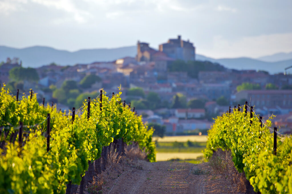 Château de Puissalicon dans le Languedoc