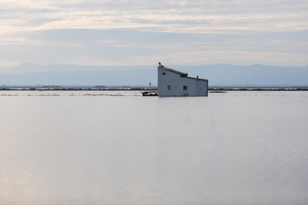 Parc naturel de l'Albufera