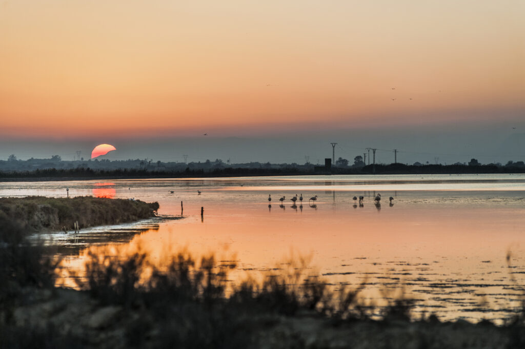 Parc naturel de las Salinas de Santa Pola